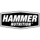 Logo HAMMER