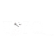 Logo USFQ