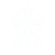 Logo PUCE